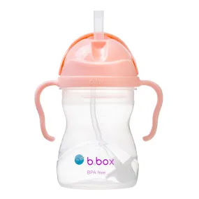 B.Box Gelato Sippy Cup - Tutti Frutti